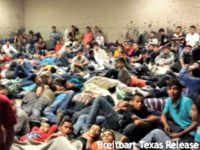 unaccompanied alien minors (Breitbart Texas) migrants