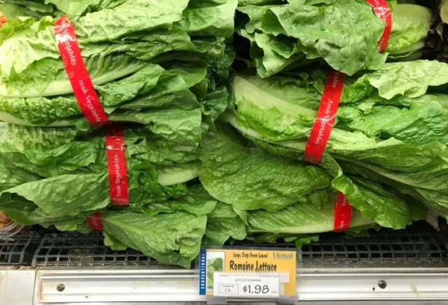 First US death in tainted romaine lettuce outbreak