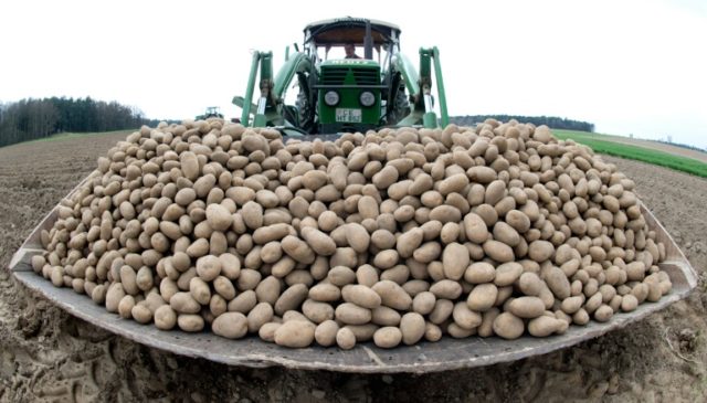 German authorities smash potato packers' cartel