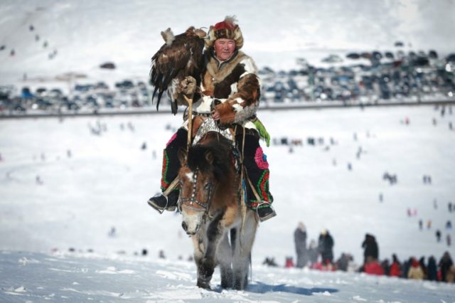 Horse-riding changed Eurasia's ethnic profile: studies