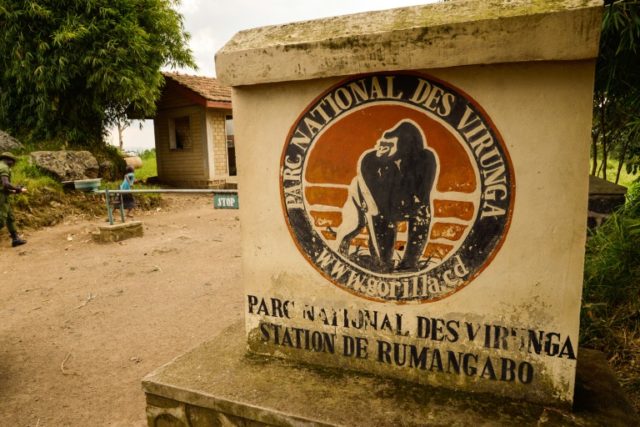 Under-threat DR Congo national park bans tree-felling