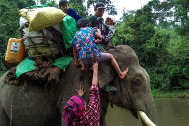 Fleeing conflict, elephants help Myanmar villagers to safety