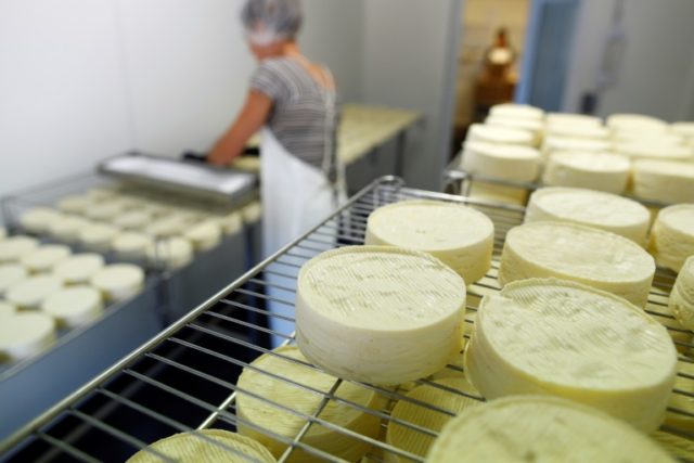 French gourmets cheesed off at new Camembert rules