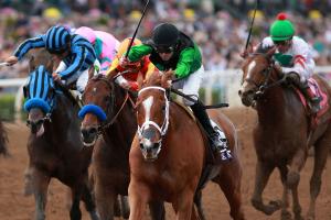 Intense exercise can prove fatal to racehorses, study shows