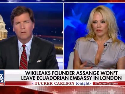 Tuesday on Fox News Channel's "Tucker Carlson Tonight," former "Baywatch" …