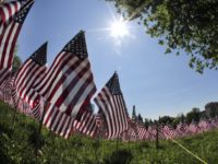 Memorial Flag Gardens In this May 24, 2018 photo taken with a wide angle lens, flags are seen on Boston Common in Boston, which are placed there for Memorial Day. The solemn display of tens of thousands of U.S. flags that first appeared on Boston Common a decade ago to honor service members …