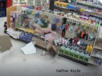 Canadian-woman-falls-ceiling-police-escape-attempt-screenshot A Canadian woman’s plan to escape the police for allegedly making a fraudulent purchase fell through after she came crashing down through a grocery store’s ceiling.