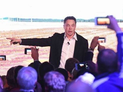 Elon Musk socialist (Mark Brake / Getty)