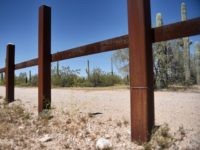 DOUNIAMAG-MEXICO-US-BORDER-WALL-WILDLIFE Cacti are seen near the metal fence along the border in Sonoyta, Sonora state, northern Mexico, between the Altar desert in Mexico and the Arizona desert in the United States, on March 27, 2017.