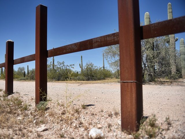 Cacti are seen near the metal fence along the border in Sonoyta, Sonora state, northern Me