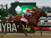 150th Belmont Stakes ELMONT, NY - JUNE 09: Justify #1, ridden by jockey Mike Smith leads the field to the finish line to win the 150th running of the Belmont Stakes at Belmont Park on June 9, 2018 in Elmont, New York. Justify becomes the thirteenth Triple Crown winner and the first since …