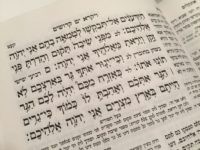 Leviticus 19 (Joel Pollak / Breitbart News) Leviticus 19 (Joel Pollak / Breitbart News)