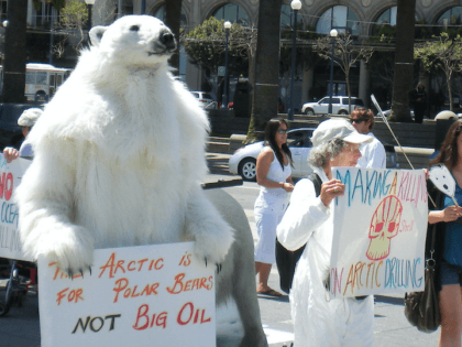 Polar bear climate change protest (Polar Bear Uprising Photos / Flickr / CC / Cropped)
