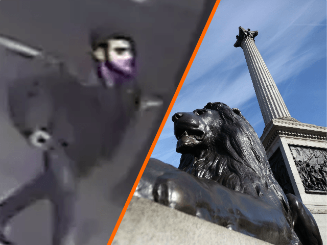 Split - London Met Police/LONDON, ENGLAND - SEPTEMBER 30: A general view of Nelson's Colum
