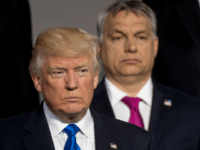 Trump Orban Migration