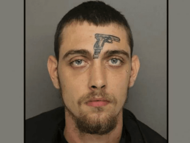 A Greenville, South Carolina, man with a face tattoo of a pistol was charged with unlawful firearm possession after firefighters witnessed him throw a revolver into the grass.