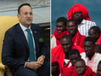 migrants