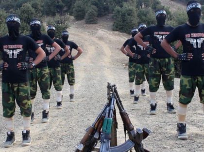 Report: Iran Training Top Afghan Taliban Jihadis to Attack U.S.-NATO Troops