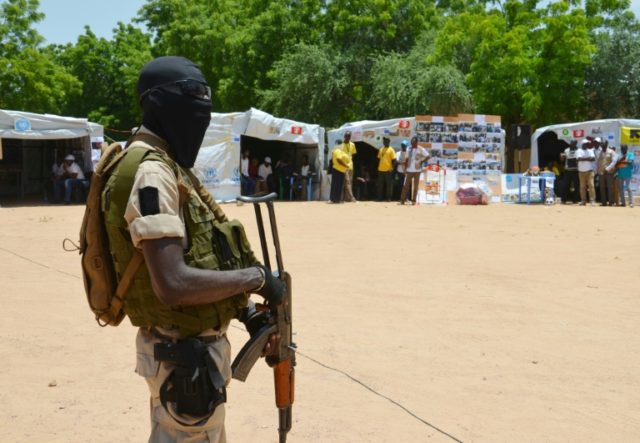 Nine killed in Niger suicide attacks