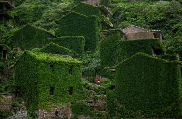 Mother Nature runs wild on China's emerald isle