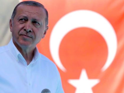 Erdogan denounces Austrian decision to close mosques