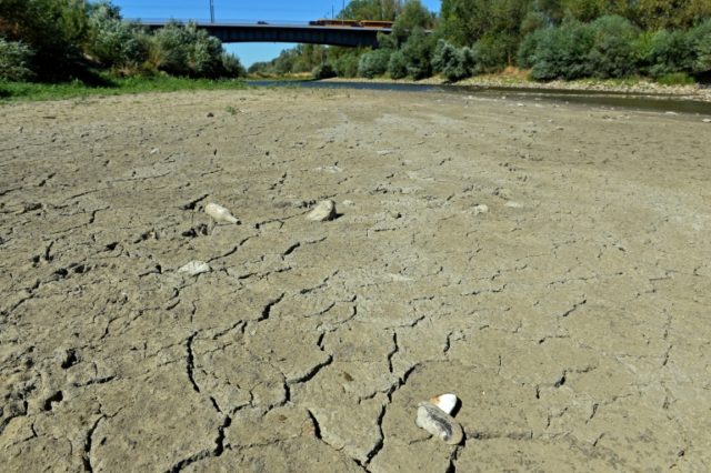 Drought haunts farmers in Poland, Baltic states