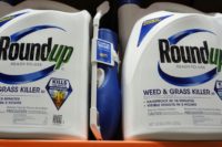 A former groundskeeper who contracted terminal cancer after years of working with Roundup, a popular herbicide which Monsanto claims to be safe, is suing the chemical giant