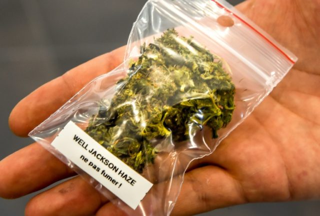 High hopes: French shops use loophole to sell 'ultralight' weed
