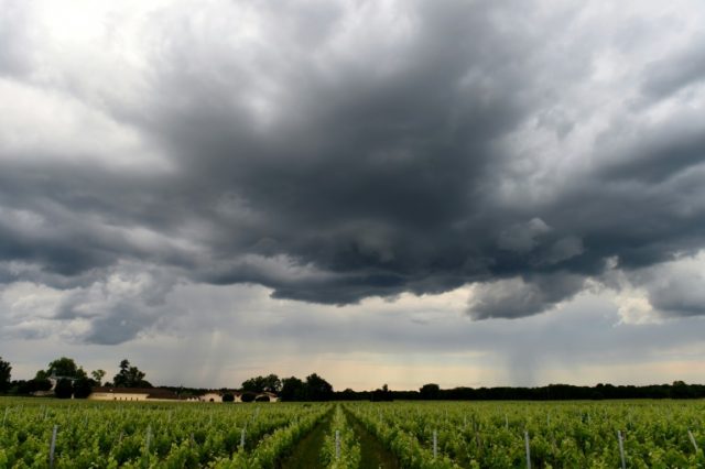 France eases rules on wine stocks to mitigate weather risks