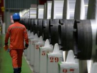 Protectionism threatens 'vintage' global growth: BIS