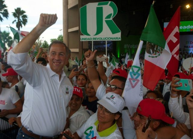 Mexico's Meade: talented technocrat in ruling party's shadow