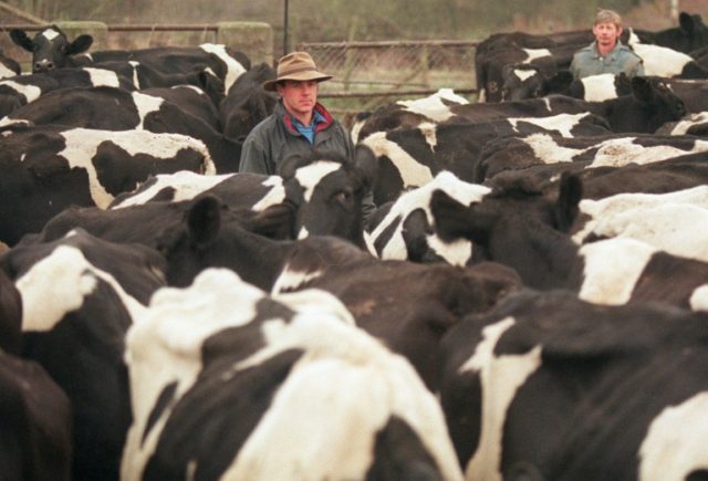 China lifts ban on import of British beef