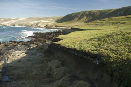 The Associated Press