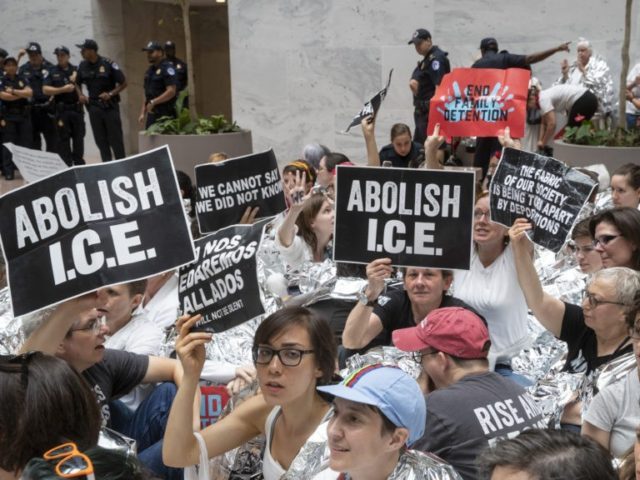 Academic: Polls Show Immigration Is a Loser for Democrats