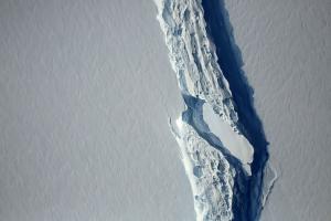 Antarctic Ice Sheet losses fueling sea level rise, study shows