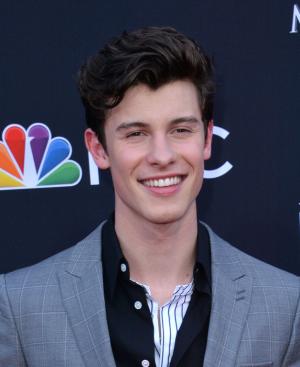 Shawn Mendes promises BTS collaboration will happen