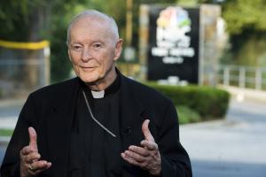 Retired Catholic archbishop McCarrick quits amid abuse allegations