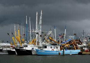 Increase in size, frequency of ocean storms a threat to global fisheries