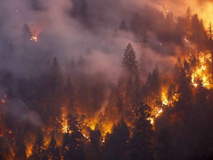 California fires (Terray Sylvester / Getty)