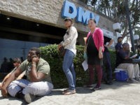 The line outside the DMV office in South Los Angeles is long on Tuesday, Aug. 14, 2012. The California Department of Motor Vehicles experienced a statewide computer outage Tuesday morning, disrupting many in–office services to customers. (Photo by Luis Sinco/Los Angeles Times via Getty Images)