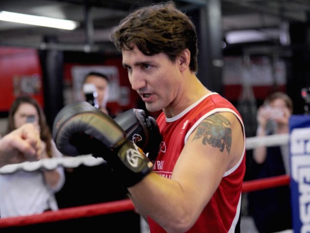 Justin Trudeau (Dennis Van Tine/STAR MAX/IPx via Associated Press)