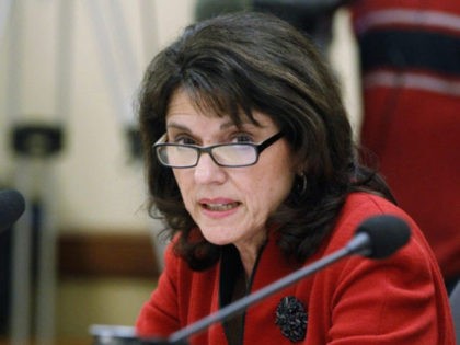 Wisconsin state Sen. Vukmir launches GOP bid for US Senate Photo