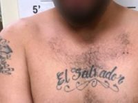 MS13-Member-Arrested-cropped Border Patrol agents in Hebbronville, Texas, arrested previously deported MS-13 gang member. (Photo: U.S. Border Patrol/Laredo Sector)