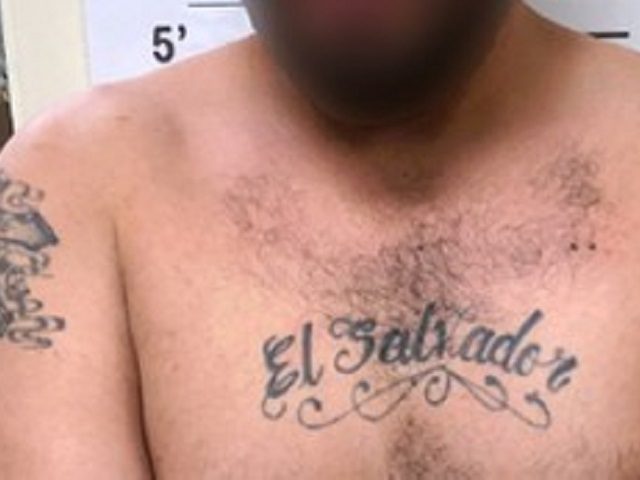 Border Patrol agents in Hebbronville, Texas, arrested previously deported MS-13 gang member. (Photo: U.S. Border Patrol/Laredo Sector)