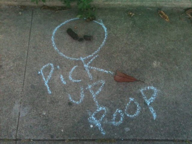 Pick up Poop San Francisco (fredsharples / Flickr / CC / Cropped)