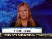 Regan 716 Thumbnail Screenshot