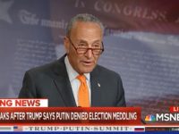 Schumer 716 Thumbnail Screenshot