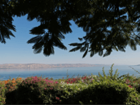 A picture taken on September 24, 2016, shows a general view of the northwestern shore of the Sea of Galilee from the Church of the Mount of Beatitudes in Tabgha. The Mount of Beatitudes is said to be where Jesus gave his Sermon on the Mount in which he summarised …