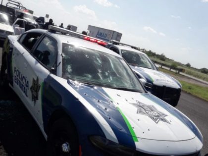 Tamaulipas cop amnush main