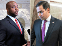 Tim Scott, Marco Rubio Tim Scott, Marco Rubio